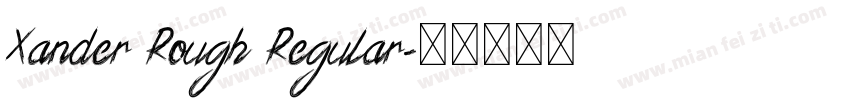 Xander Rough Regular字体转换